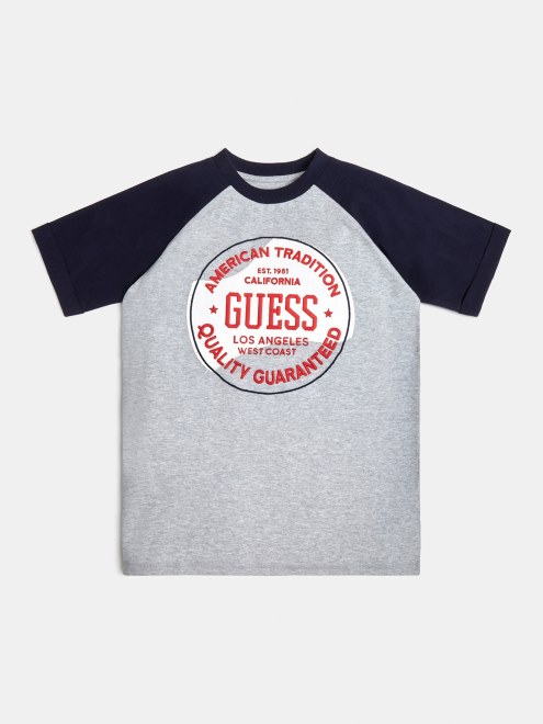 Camiseta Con Logo En La Parte Delantera Guess Gris Multi