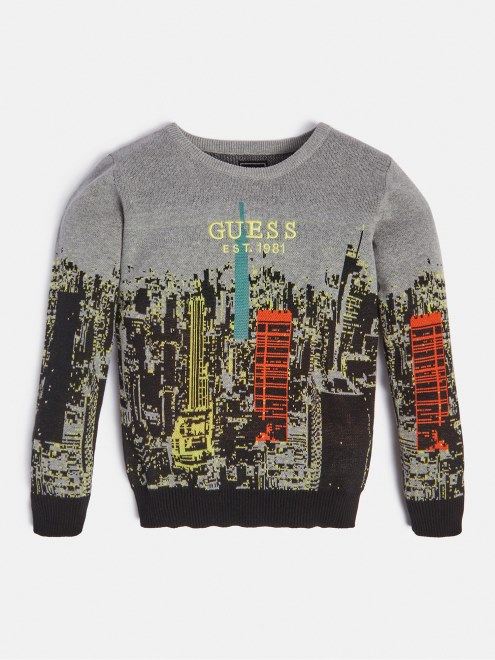 Jersey Estampado All Over Gris Multi Guess