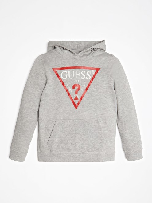 Sudadera Con Capucha Y Logo De Triangulo Gris Guess