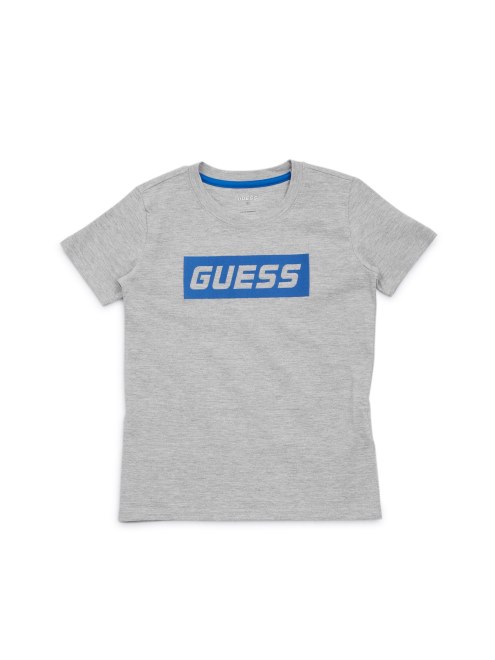 Camiseta Con Logo Ecológico Jaspeado De Piedra Clara (4-14) Adivinar